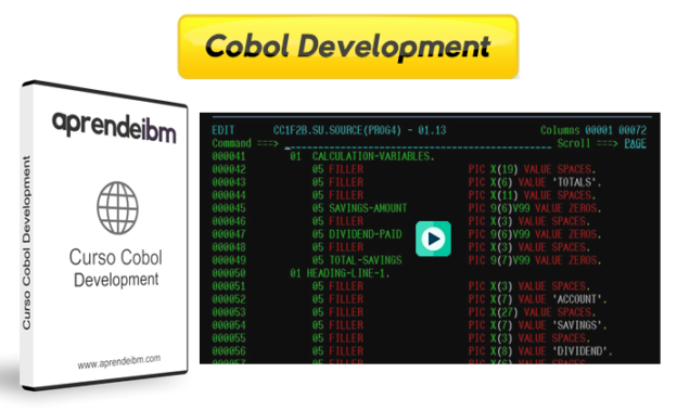 Curso Cobol Development Aprendeibm 5611