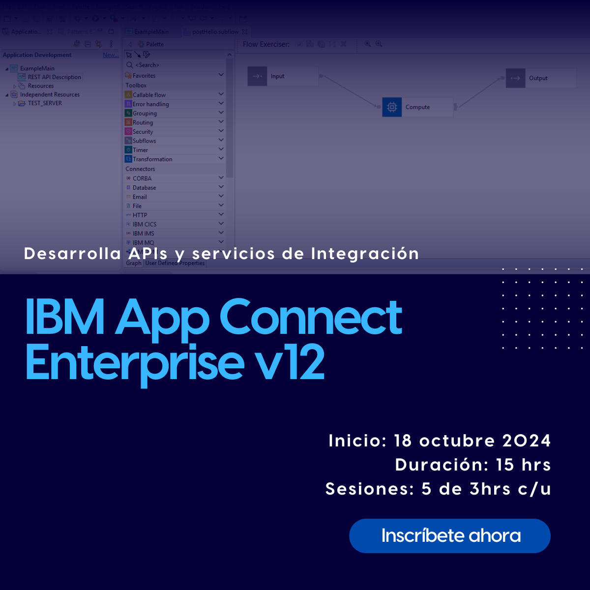 Curso de IBM ACE 12 Development en VIVO – Octubre 2024