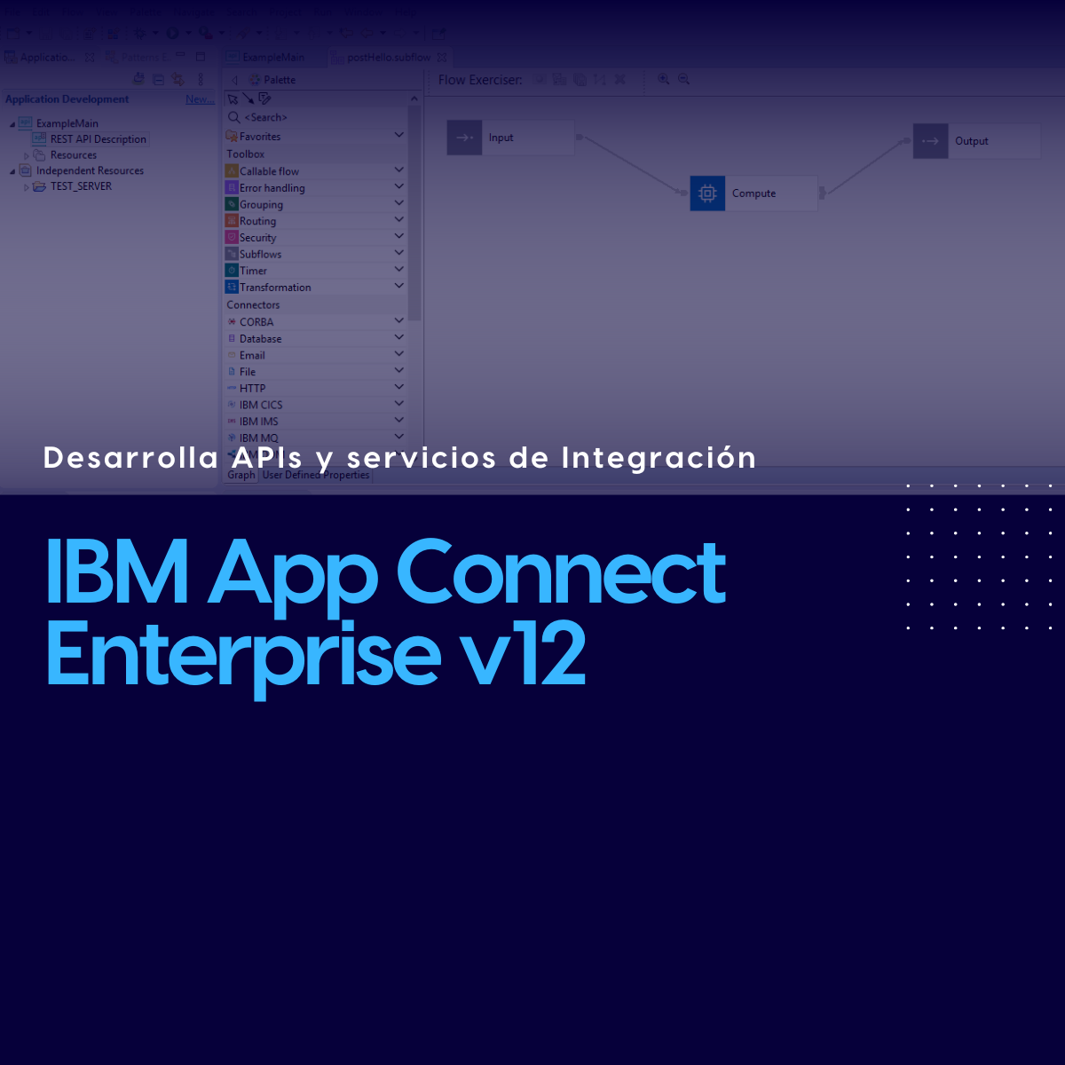 Curso de IBM ACE 12 Development